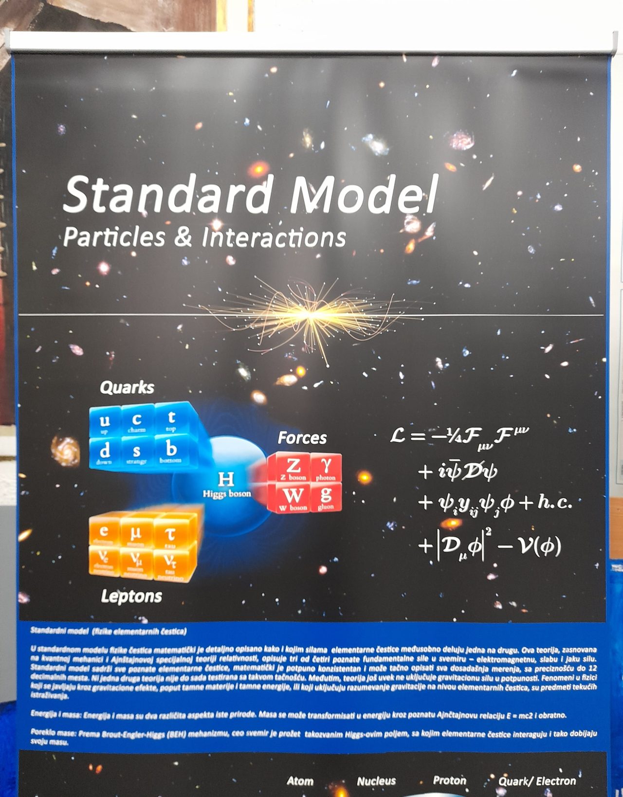 standardni model-poster